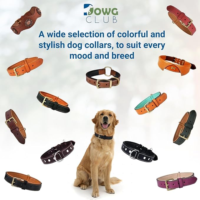 Leather Dog Collar for Medium Dogs, Brown, 1 Inch Wide, Genuine Full Grain Leather, Heavy Duty with Soft Inner Padding, Comfortable and Durable (Medium (Fit Neck Size 14.5"-18.5"), Brown)