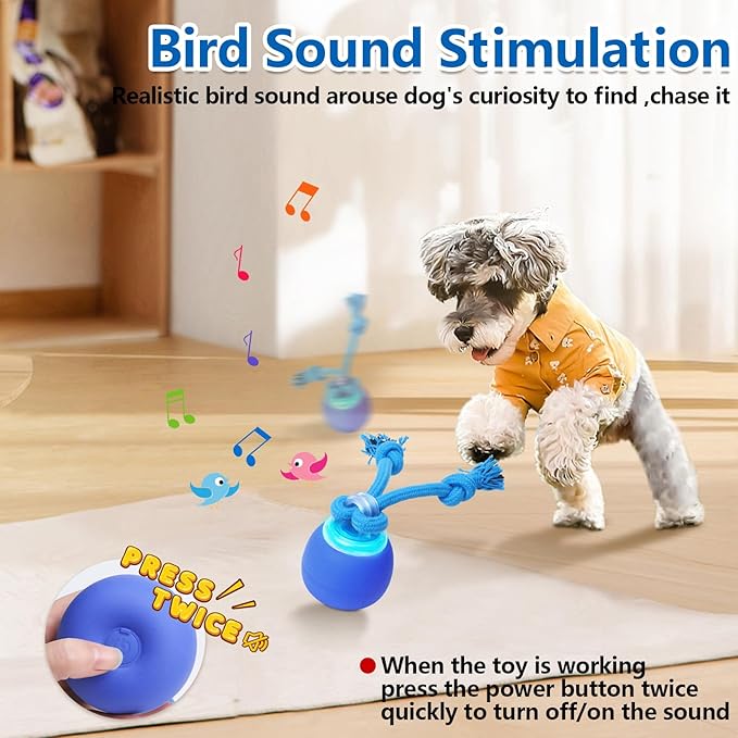 Interactive Dog Toys with Motion Activated, Squeaky Dog Toy Active Rolling Ball for Puppy and Medium Dogs, USB Rechargeable, Wicked Ball