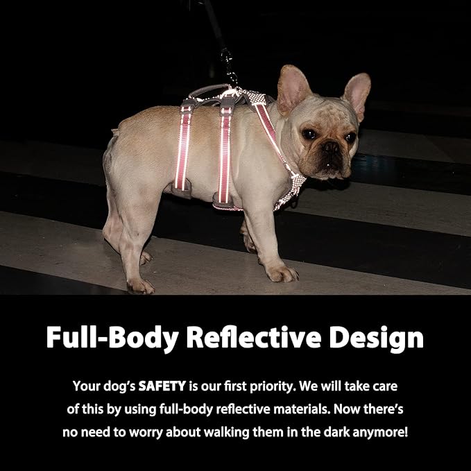 Huntboo Escape Proof Dog Harness, Escape Artist Harness, Fully Reflective Harness with Padded Handle, Breathable, Durable, Adjustable Vest for Small Dogs Walking, Training, and Running Gear (Teal,S)