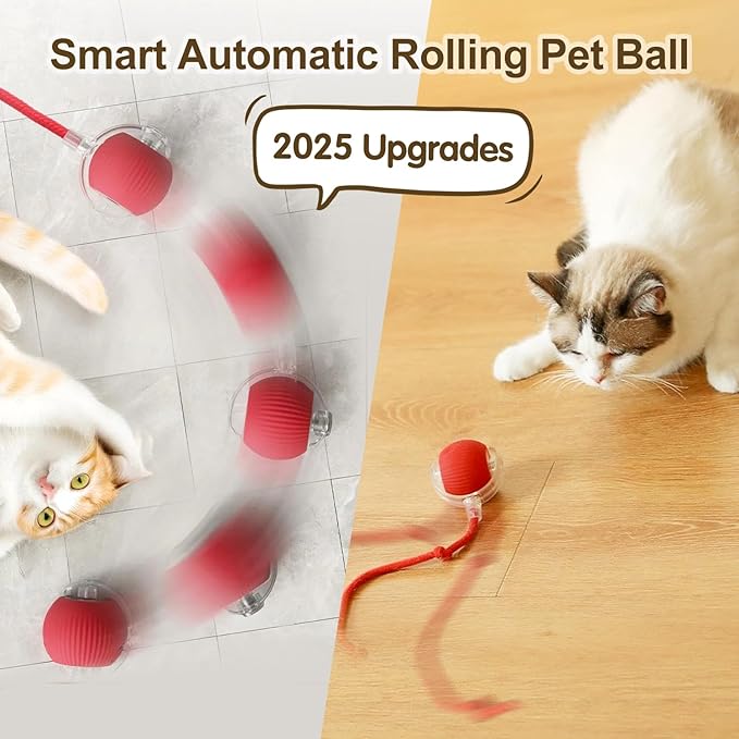 Interactive Cat Toy Ball, 2025 Upgraded Cat Toys for Bored Indoor Adult Cats, Self Rolling Interactive Dog Ball Toy, Automatic Smart Pet Toy Ball Kitten Toys (Red)