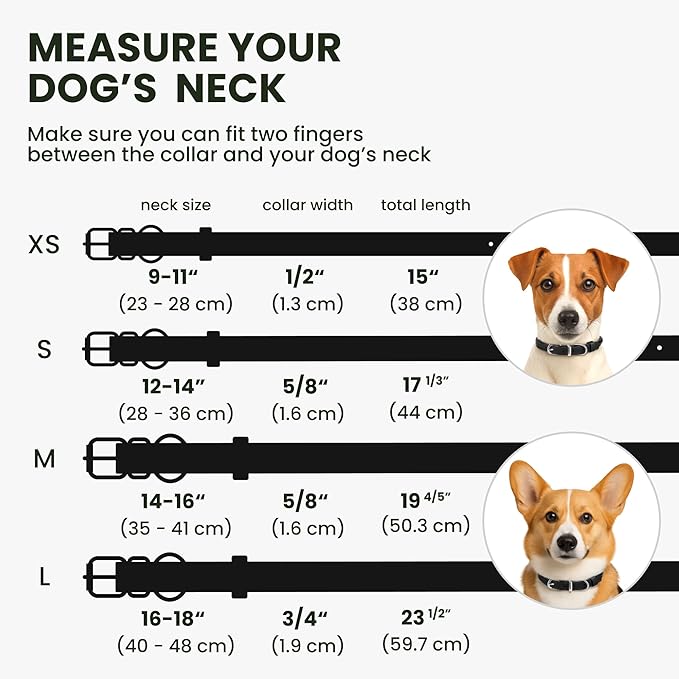 BRONZEDOG Rolled Leather Dog Collar for Small Medium Large Dogs with QR ID Tag (S: 12-14 Inch, Glossy Black)