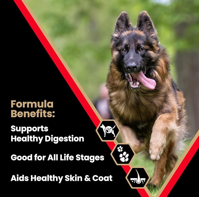 VICTOR Super Premium Dog Food – High Energy Dry Dog Food for Active Dogs – Gluten Free Canine Kibble with Beef and Chicken Meal Proteins for Sporting Dogs – All Breeds and All Life Stages, 5 lb