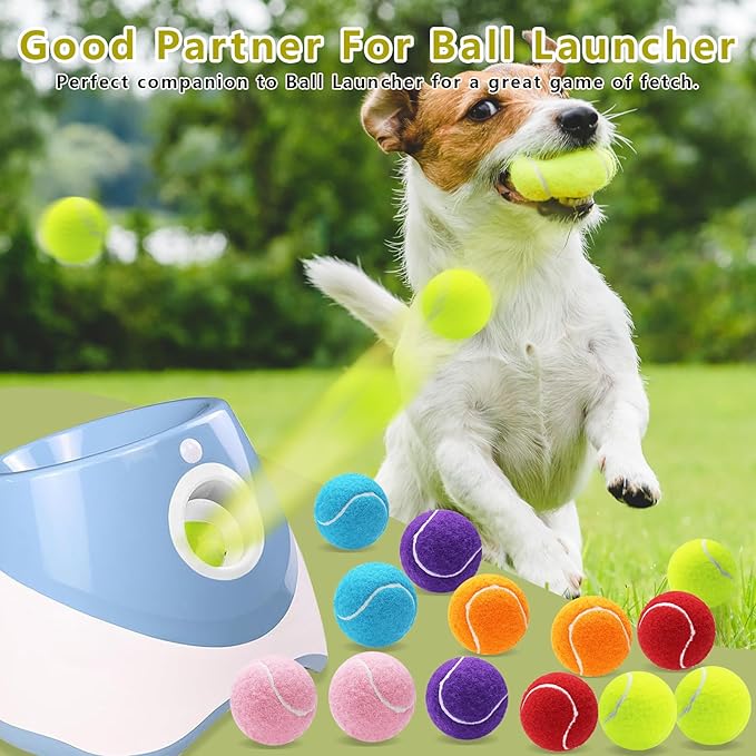 Magicorange Small Tennis Balls, 60 Pack 2 inch Tennis Balls for Dogs, Colorful Easy Catching Pet Dog Playing Ball (Multicolor)