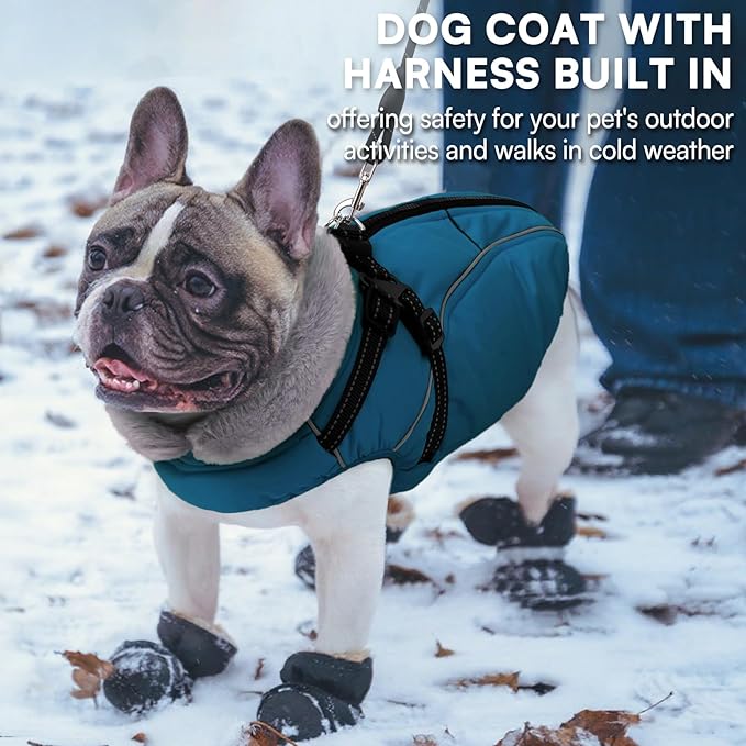 Queenmore Small Dog Coat,Dog Coat for Small Dogs,Reflective Windproof Dogs Jackets with Built-in Harness,Doggy Winter Jacket with Zipper On Back,Warm Pet Coats with Fleece Lining,Blue,S