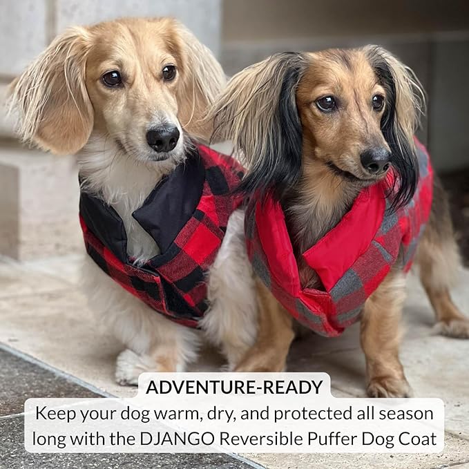 DJANGO Reversible Puffer Dog Coat – Warm Winter Dog Jacket & Water-Repellent Insulated Dog Coat with Harness Hole, Windproof, Adjustable Fit Vest for Small & Medium Dogs, Dachshunds – Black, Large