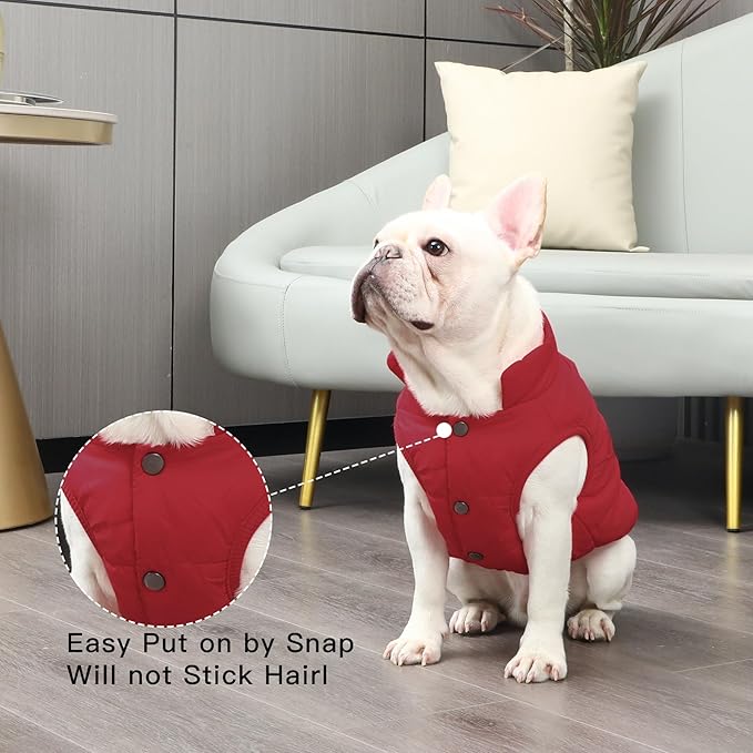 2 Layers Fleece Lined Warm Dog Jacket for Winter Cold Weather,Soft Windproof Medium Dog Coat,Red XL