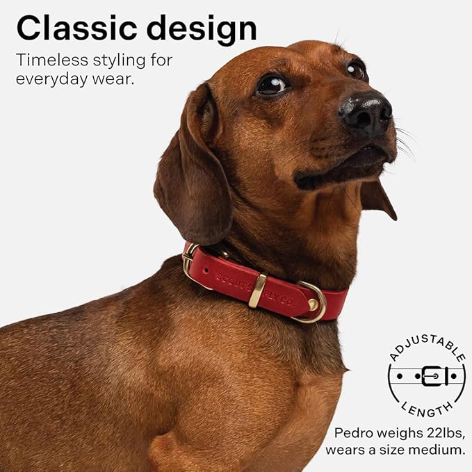Classic Genuine Leather Dog Collar | Dog Collars for Medium Dogs, Small Dogs, Large Dogs & Extra Large Dog | Wide Dog Collar | Heavy Duty Dog Collar (Red, S: 0.5" Wide for 7.5"-10.5" Neck)