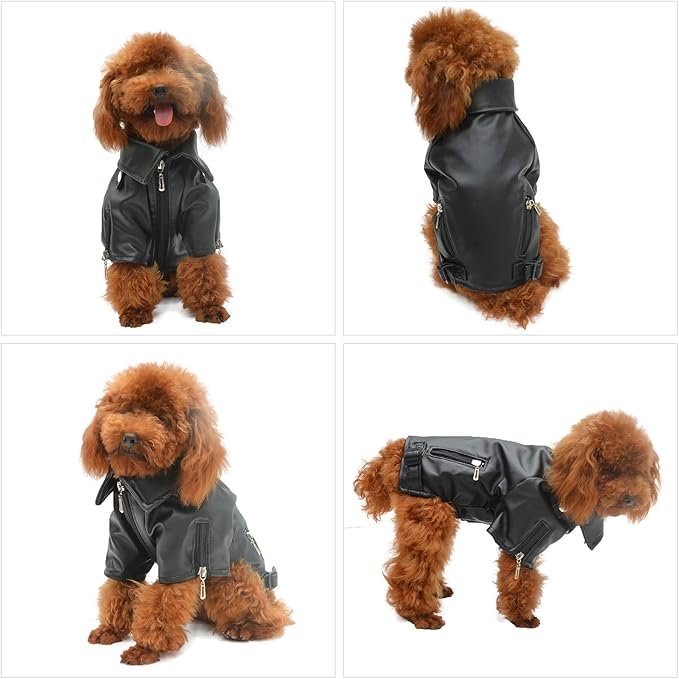 Lovelonglong Cool Dog Leather Jacket, Warm Coats Dogs Windproof Cold Weather Coats for Large Medium Small Dogs,Miniature PoodleSchnauzers Clothing Black XL