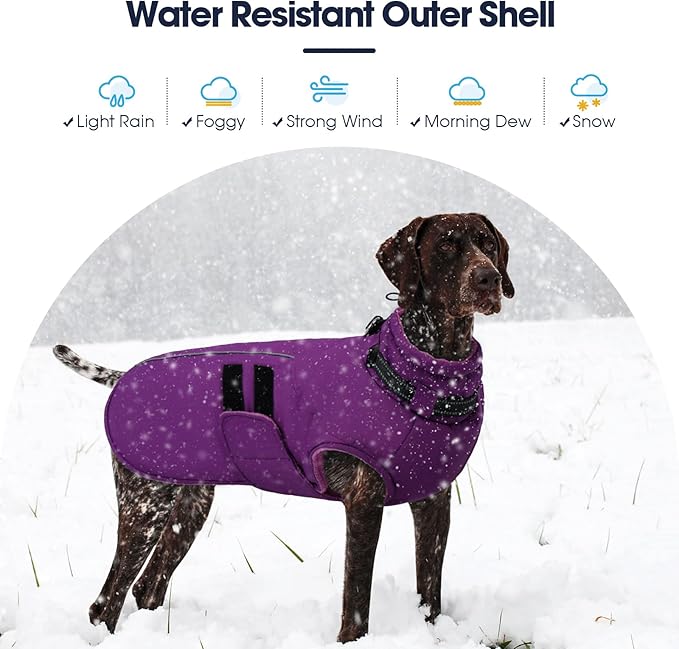 IECOii Waterproof Dog Coat for Medium Dogs, Reflective Dog Jacket with Collar Built in, Thick Fleece Dogs Coat for Winter Easy On Hook & Loop Pet Snowsuit for Hunting, Hiking, Camping, Purple - L