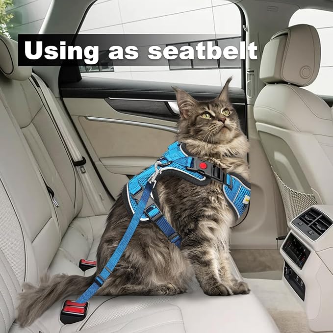 Cat Harness and Leash for Walking, Retractable Cat Harnesses and Leash Set Escape Proof, Breathable Soft Kitten Small Large Harness for Travel Training and Walking, Blue, M