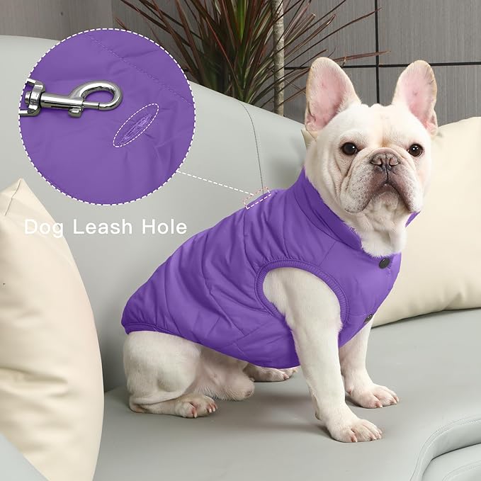 2 Layers Fleece Lined Warm Dog Jacket for Puppy Winter Cold Weather,Soft Windproof Small Dog Coat,Purple S