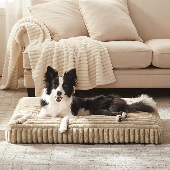 Dog Bed Medium Size Dog, Flat Pet Beds with Removable Washable Cover, Pet Mat Cute Crate Bed Thick Shredded Chopped Crate Foam & Anti Slip Bottom for Indoor, 29"x21"x3" Beige