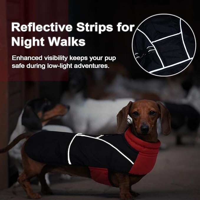 Lelepet Dachshund Coat Warm Dog Winter Coat Waterproof Dog Jacket with Fleece Lining, Reflective Outdoor Dachshund Snowsuit with Leash Hole Adjustable Neckline,Coats for Small Medium Dogs,Red, XL
