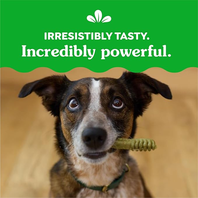 Greenies Original Regular Dental Dog Treats, 6 oz. Pack (6 Treats)