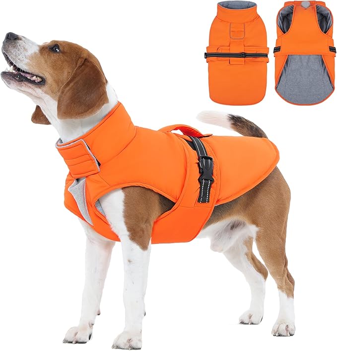 IECOii Large Dog Coat - Reflective, Adjustable & Windproof, Warm Vest for Corgi & Beagle & French Bulldog, Waterproof Fleece Lined Jacket for Hiking, Quick Snap Buckles, Orange, Size L