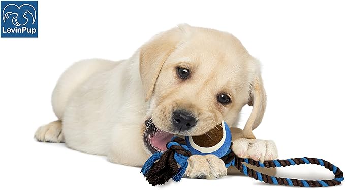 Dog Rope Toy with Tennis Ball, Nylon Rope with Balls, Fun Tug of War Toy for Dogs, Tough Dog Toy for Aggressive Chewers, Eskimo, Terrier, Beagle & More (3 Set Rope Dog Toy Blue Ball)