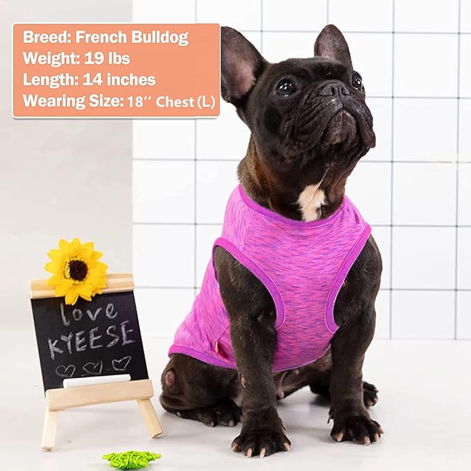 KYEESE 2 Pack Dog Shirts Quick Dry Soft Stretchy Pet T-Shirts with Reflective Label Tank Top Sleeveless Vest Sun Protection Dog Clothes for Small Medium Dogs, X-Large, Purple+Pink