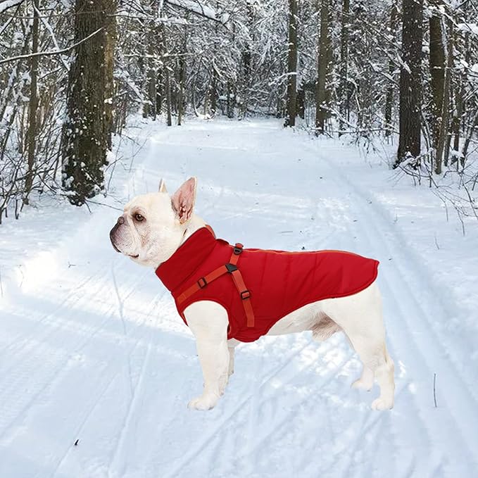 Geyecete Winter Warm Coat Waterproof Dog Winter Jacket with Harness Traction Belt,Windproof Pet Outdoor Jacket Dog Autumn-Red-S