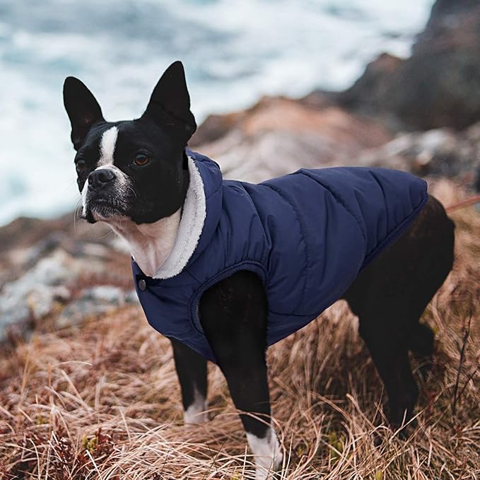 Windproof Waterproof Dog Coat Fleece & Cotton Lined Warm Jacket, Cold Weather Pet Apparel Clothes Vest for Small Medium Large Dog (XL, Blue)