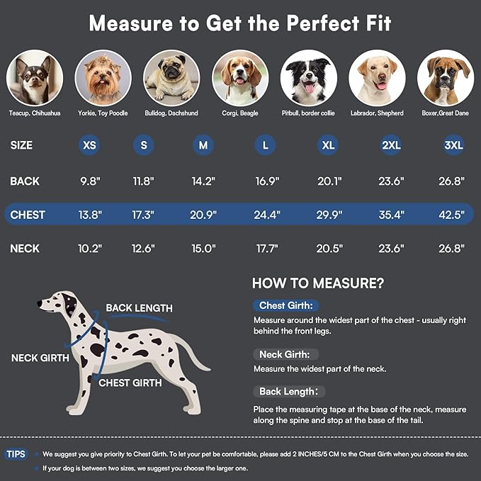 Queenmore Dog Coat,Windproof Dog Coat for Medium Dogs,Dogs Jackets with Harness Built in,Waterproof Doggy Coats with Zipper On Back,Reflective Cold Weather Coats for Dachshund,NavyBlue,M