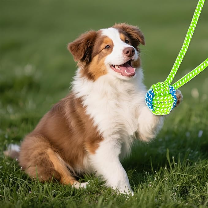 12 Piece Dog Toy Set, Rope Toys, Ball, Plush Toys, Bones and More Squeaky Dog Toys, Indoor/Outdoor Puppy Toys, Training