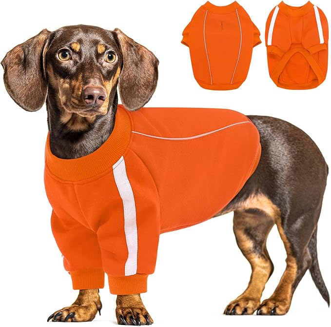 Queenmore Cozy Fleece Dog Sweater XL, Soft Pullover Dog Sweatshirt, Warm Winter Fleece Jacket with Leash Hole/Reflective Stripes for Small Medium Large Dogs Orange