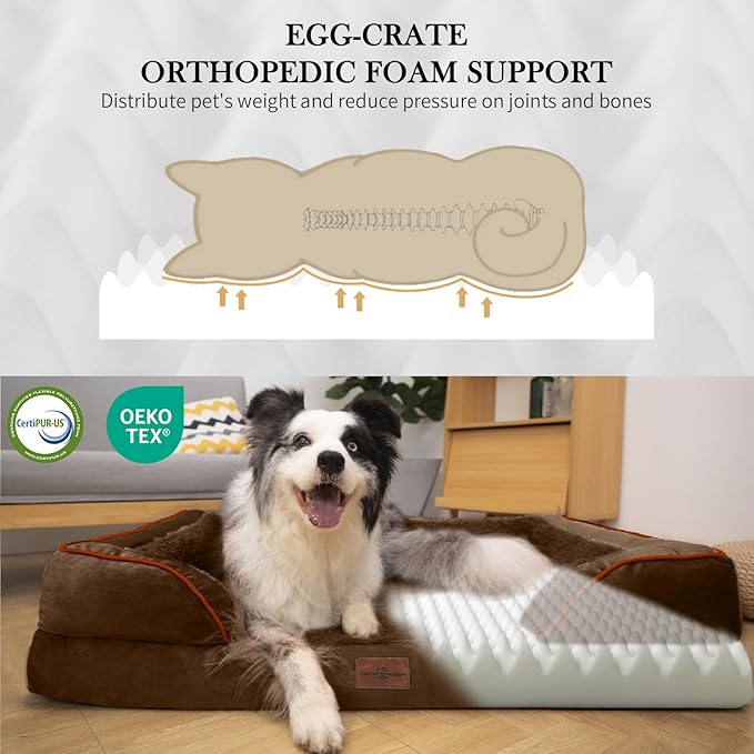 Comfort Expression Orthopedic Dog Bed for Small Dogs 24x16 Inch, Waterproof Supportive Egg Crate Foam Small Pet Bed with Removable Bolsters, Dog Couch with Washable Cover & Non-Slip Bottom, Dark Brown