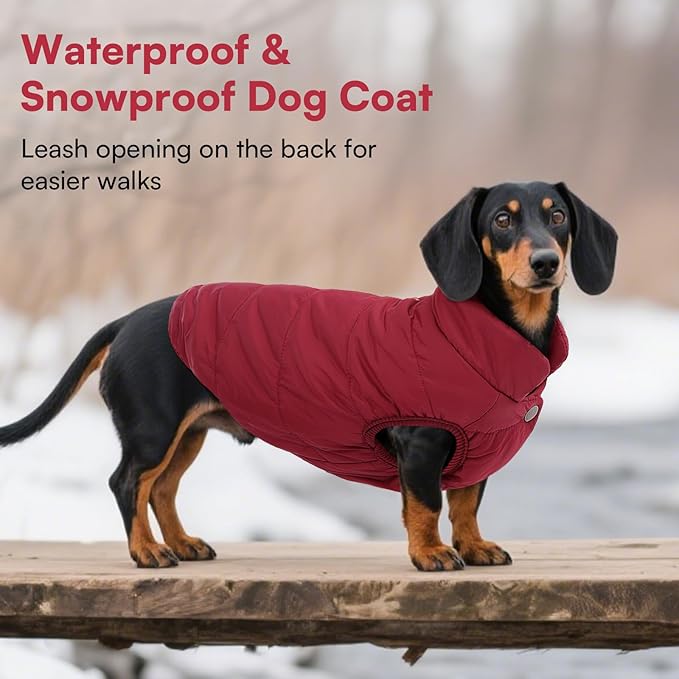 ASENKU Dog Winter Coat - Waterproof Windproof Dog Jacket, Warm Snowproof Doggie Puffer Vest for Cold Weather, Lightweight Snow Coats for Small Medium Large Dogs(M, Red)