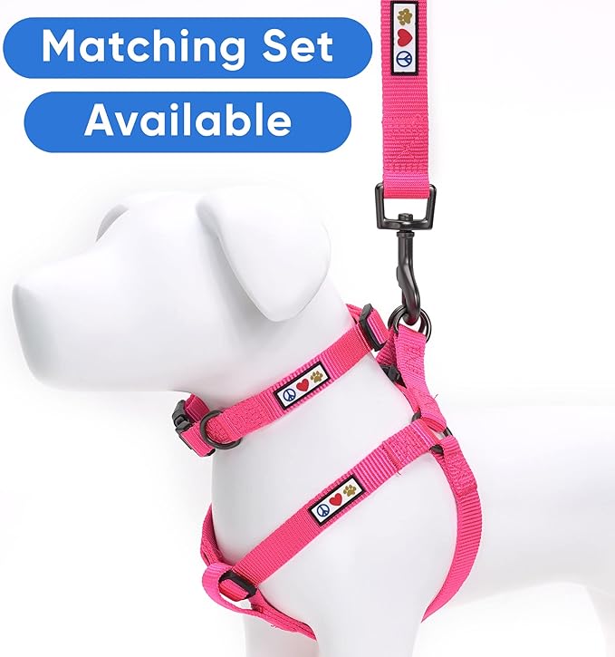 Pawtitas Personalized Dog Leash - Embroidered Customize Leash with Your Pet Name & Phone Number - 6 ft Long, Extra Small, Pink, Custom Engraved Name