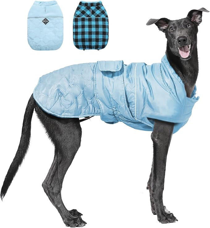PAWZ Road Dog Winter Coat with 5 Layers Warm Material, Reversible Dog Clothes with 2 Sides, Dog Jacket Outdoor Water Repellent, (Blue Plaid S)