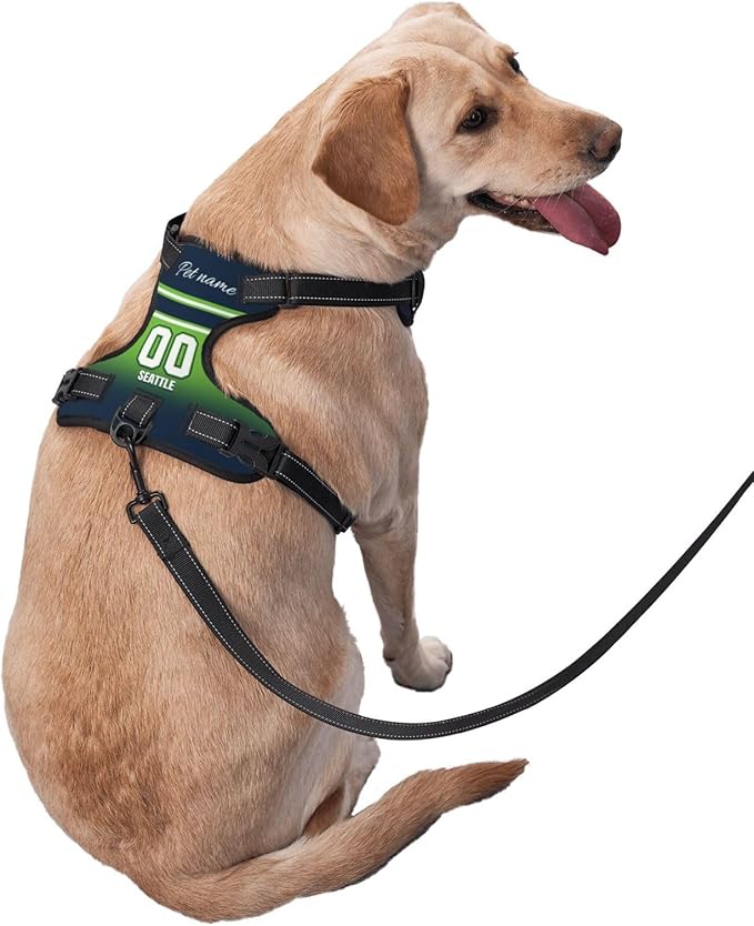 Custom Seattle Dog Harness with Reflective Stripes Personalized Name and Number Dog Vest Harness with Pet Traction Rope for Small Medium Large Dog