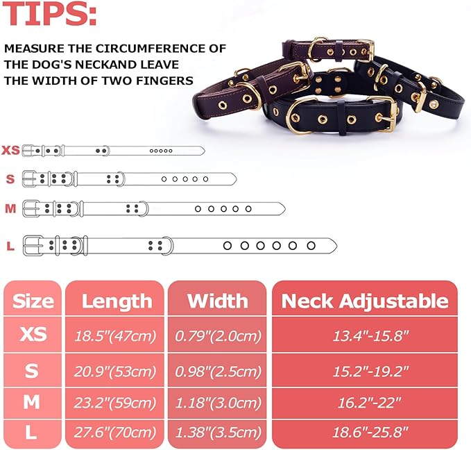 Dog Collar, Leather Dog Collar with Adjustable Sturdy Metal Buckle,Heavy Duty Dog Collar for Walking, Hiking, Training, Hunting (Black,M:16.2"-22" Neck)