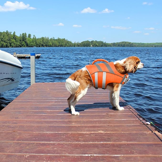 Kuoser Reflective Dog Life Jacket, Adjustable High Visibility Vest with Ripstop Material for Small, Medium & Large Dogs