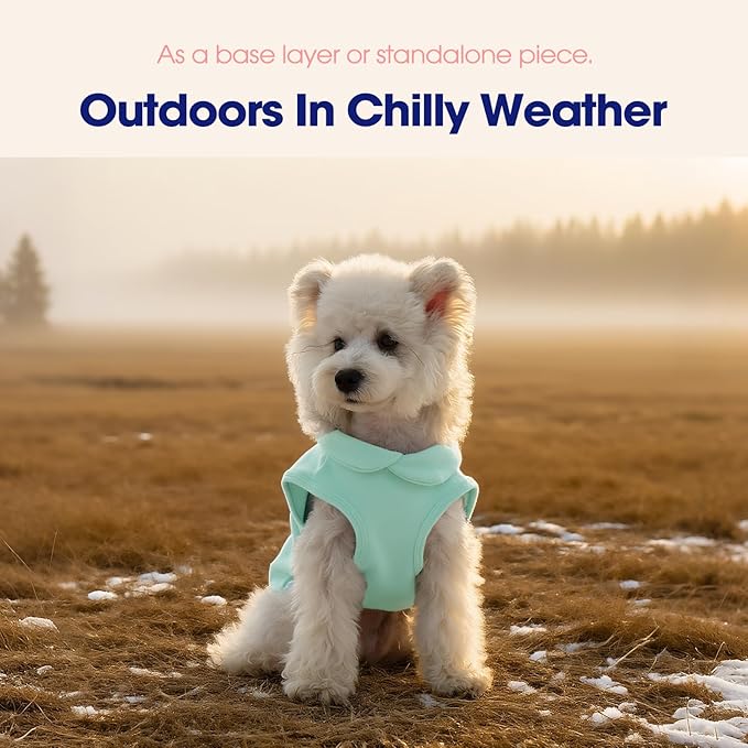 FUAMEY Dog Fleece Vest for Small Dogs,Warm Stretchy Dog Sweatshirts Pullover with Leash Hole Dogs Sweater Soft Pet Turtleneck Cozy Pet Vest Lightweight Sleeveless Blue XS