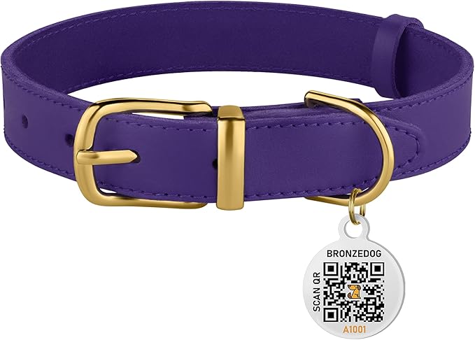 BRONZEDOG Leather Dog Collar with Metal Buckle Durable Basic Pet Collars for Small Medium Large Dogs (13-16 Inch (Pack of 1), Purple & Gold Buckle)