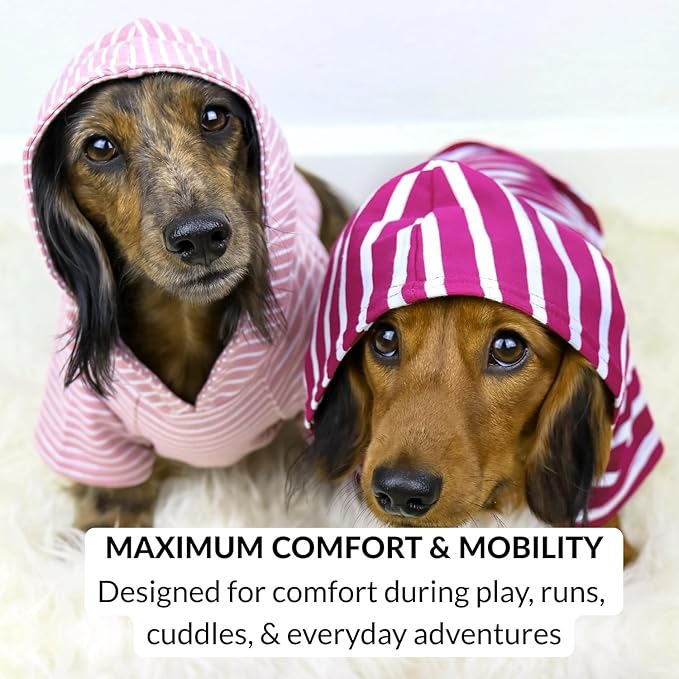 DJANGO Dog Hoodie – Warm, Lightweight, Soft & Stretchy Dog Sweater with Hood, Harness Hole & Elastic Waistband – Cozy Sweatshirt for Small Dogs up to 25 lbs, Dachshunds & Puppies – Blush Pink, X-Small