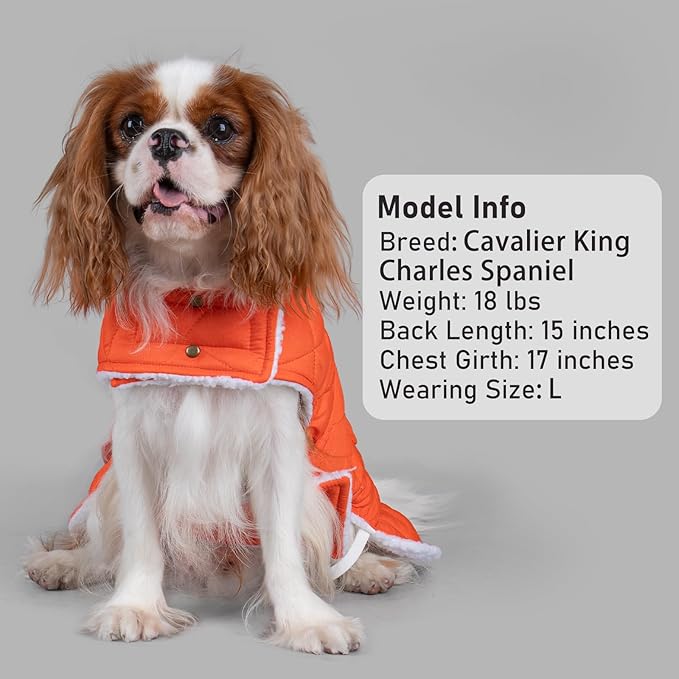 KYEESE Dog Coat Windproof Dog Coats for Small Dogs Thick Cat Clothes with Pocket Waterproof Dogs Jacket with Fleece Lined Warm Pet Winter Puffer Coat with Leash Hole Soft Pet Sweater for Cold Weather