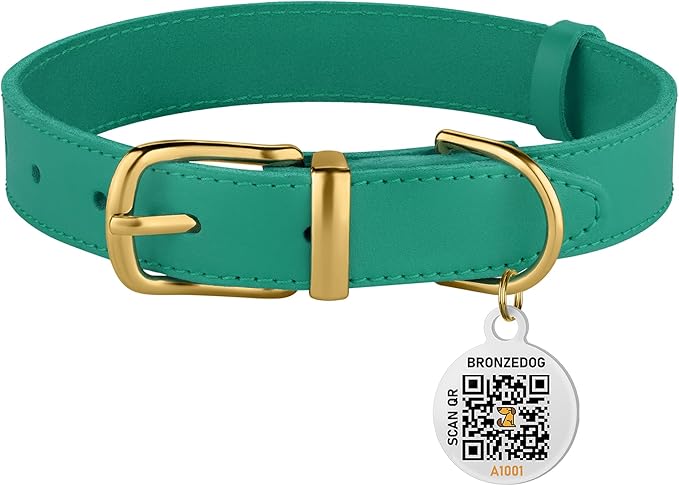 BRONZEDOG Leather Dog Collar with QR ID Tag Basic Pet Collars for Small Mini Dogs Cats Puppies (9-11 Inch (Pack of 1), Green & Gold Buckle)