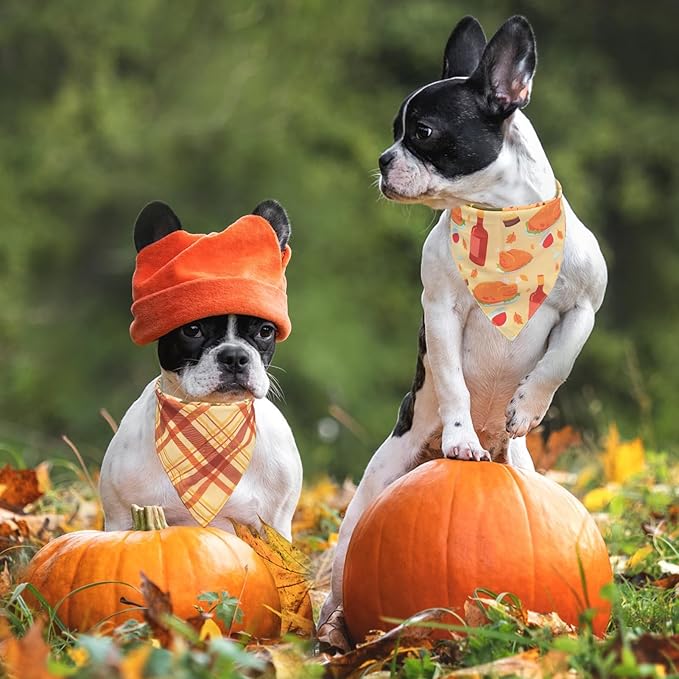 SCENEREAL Fall Dog Bandanas 2 Pack, Puppy Thanksgiving Orange Squirrel Triangle Bibs Handkerchief, Reversible Holiday Dog Bandana for Boy and Girl, Premium Pet Scarf for Small Medium Large Dogs XL