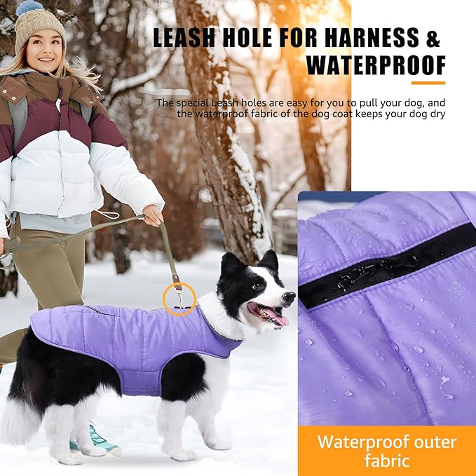 iBuddy Dog Winter Jackets with Fleece Vest,Waterproof Warm Dog Snow Jacket Windproof, Reflective Adjustable Pet Dogs Cold Winter Coat for Large Dogs Girl Boy