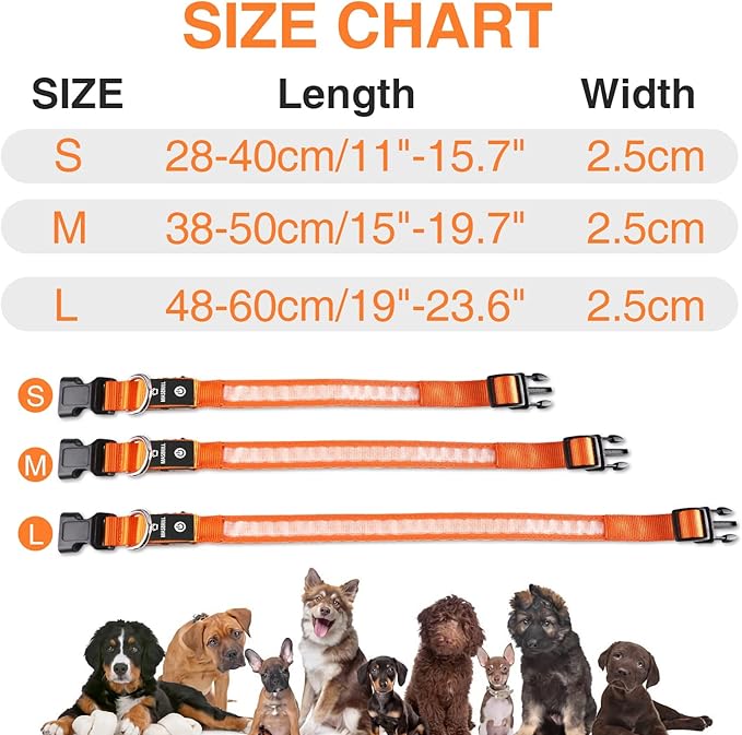 MASBRILL LED Dog Collar-Light Up Dog Collars Rechargeable Waterproof Lighted Dog Collar Night Walking Glow Collar for Small Medium Large Dogs