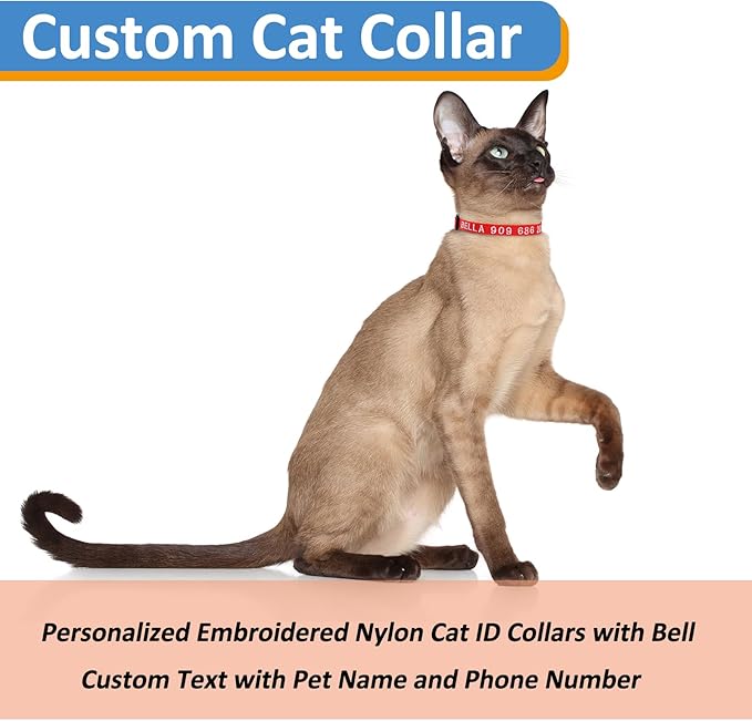 Personalized Cat Collars, Embroidered with Pet Name and Phone Number, Adjustable Nylon Breakaway Safety Release Buckle ID Collar,Custom Text with Bell for Cat or Kitten,Sky Blue
