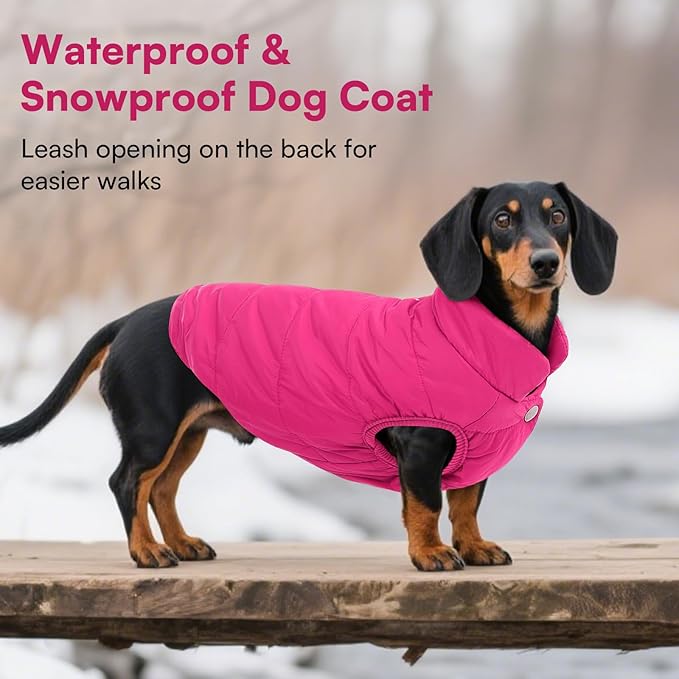 ASENKU Dog Winter Coat - Waterproof Windproof Dog Jacket, Warm Snowproof Doggie Puffer Vest for Cold Weather, Lightweight Snow Coats for Small Medium Large Dogs(Pink, XS)