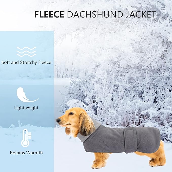 Geyecete Dachshund Sweater - Padded Fleece Lining, High Collar Dog Jacket, Adjustable Sizes - Gray-XS