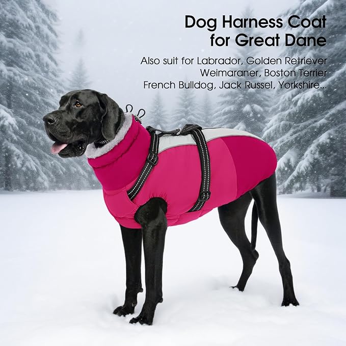 SUNFURA Dog Winter Coat, Warm Dog Coat with Harness for Medium Dogs Boys Girls, Reflective Fleece Lined Pet Winter Jacket Snowsuit for Pug, Jack Russel, Schnauzer, Hot Pink M