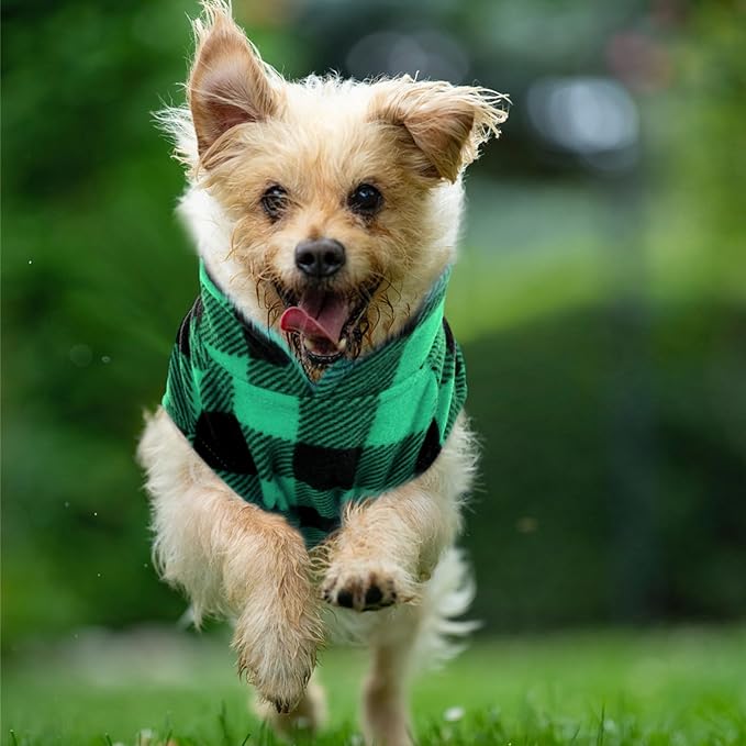 KAMA BRIDAL 3 Pack Spring Autumn Winter Coat Pullover Fleece Vest for Cats Small and Medium Dogs - Thin Sweater Blue Green Black Plaid (XXS)