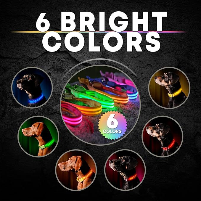 ILLUMISEEN LED Dog Collar USB Rechargeable - Bright & High Visibility Lighted Glow Collar for Pet Night Walking - Weatherproof, in 6 Colors & 6 Sizes (Red Large)