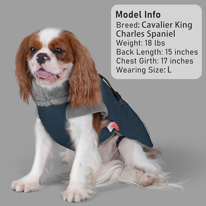 KYEESE Waterproof Dog Coat, Windproof Warm Winter Jacket with Thick Fleece Lined, Turtleneck Dog Coats for Small Dogs with Leash Hole, Reflective Outdoor Cold Weather Coat, Navy Blue, Medium
