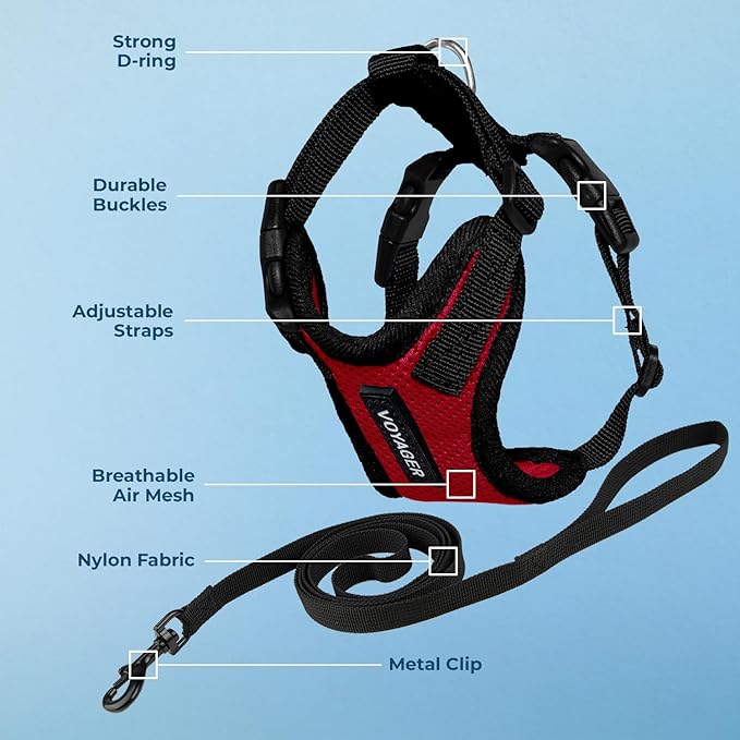 Voyager Step-in Lock Adjustable Cat Harness w. Cat Leash Combo Set with Neoprene Handle 5ft - Supports Small, Medium and Large Breed Cats by Best Pet Supplies - Red/Black Trim, S