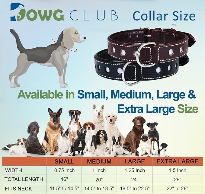 Genuine Leather Reflective Dog Collar | Stellar Series | Safe for Night Walking | Soft, Cushion Padding, Handmade | Best for Small, Medium, Large, XL (X-Large (Fit Neck Size 22"-26"), Garnet)